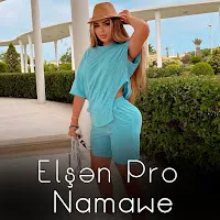 Elsen Pro — Mehtar — обложка