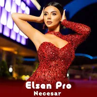 Elsen Pro — Necesar — обложка